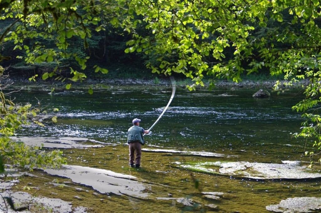 C-LM establece la nueva Orden de Vedas de Pesca para 2025 con medidas concretas para el control de especies invasoras