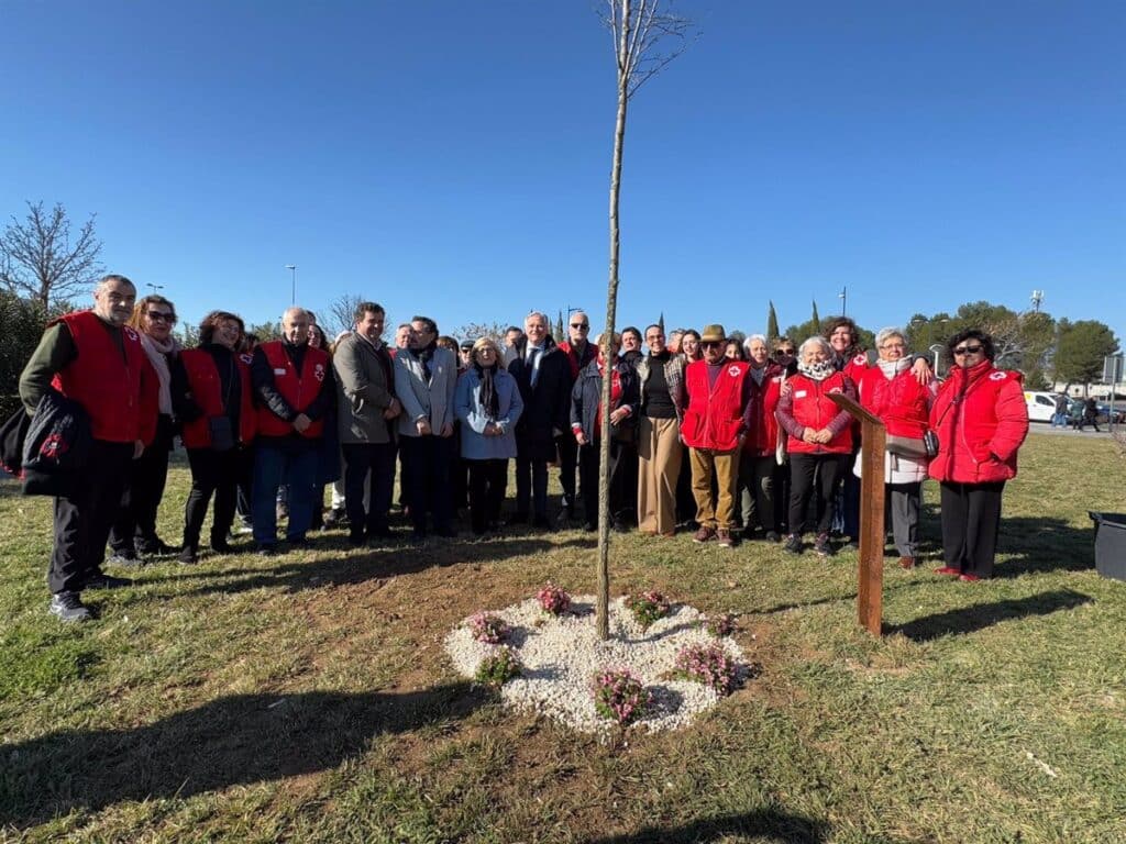 Cruz Roja planta en Ciudad Real un olmo para conmemorar sus 160 años de servicio a la sociedad