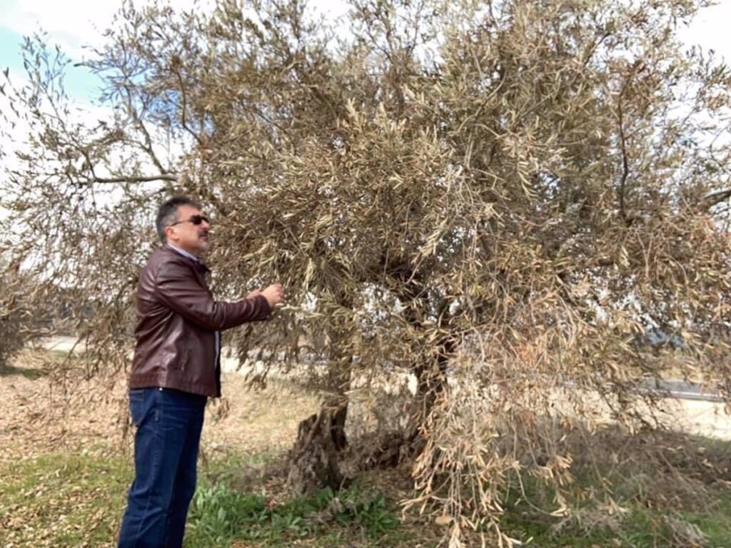 El director general de Ordenación Agropecuaria, Joaquín Cuadrado, cesa de su cargo y abandona la primera línea política