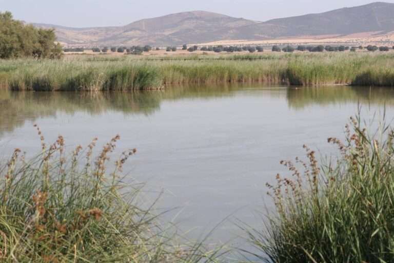 Los regantes del Guadiana piden que no se les estigmatice y recuerdan que gracias a ellos hay alimentos de calidad