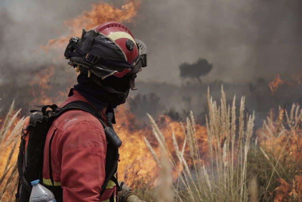 Rozalén y la Unidad Militar de Emergencias, entre los 'Reconocimientos' del Consejo Social de la UCLM