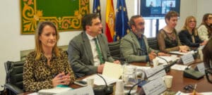 Valverde Encabeza Presentación de la Agenda 2025 de la Comisión de Cooperación al Desarrollo de la FEMP