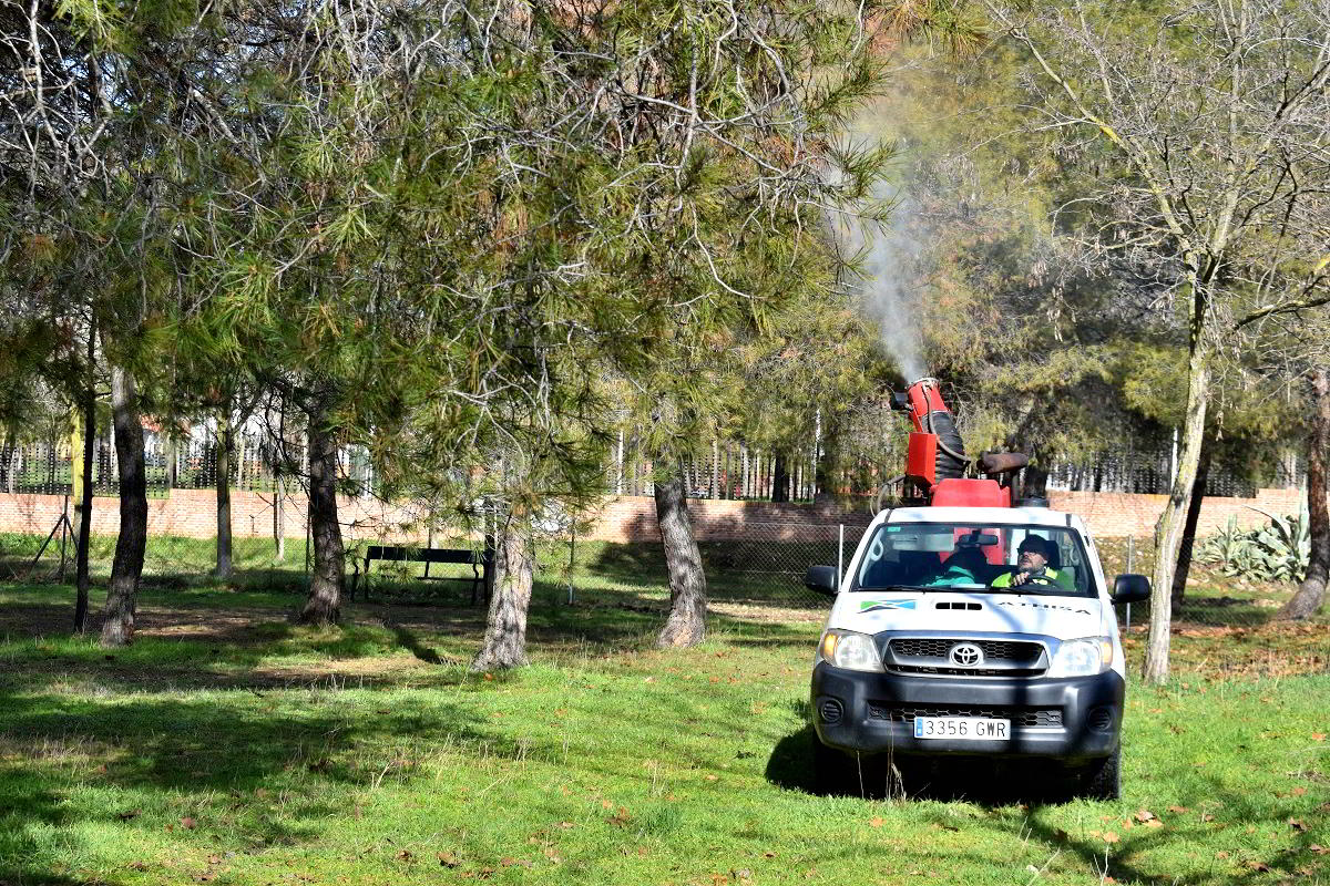 El plan de fumigación en zonas verdes logra reducir la infestación de bolsas de orugas en pinos 2