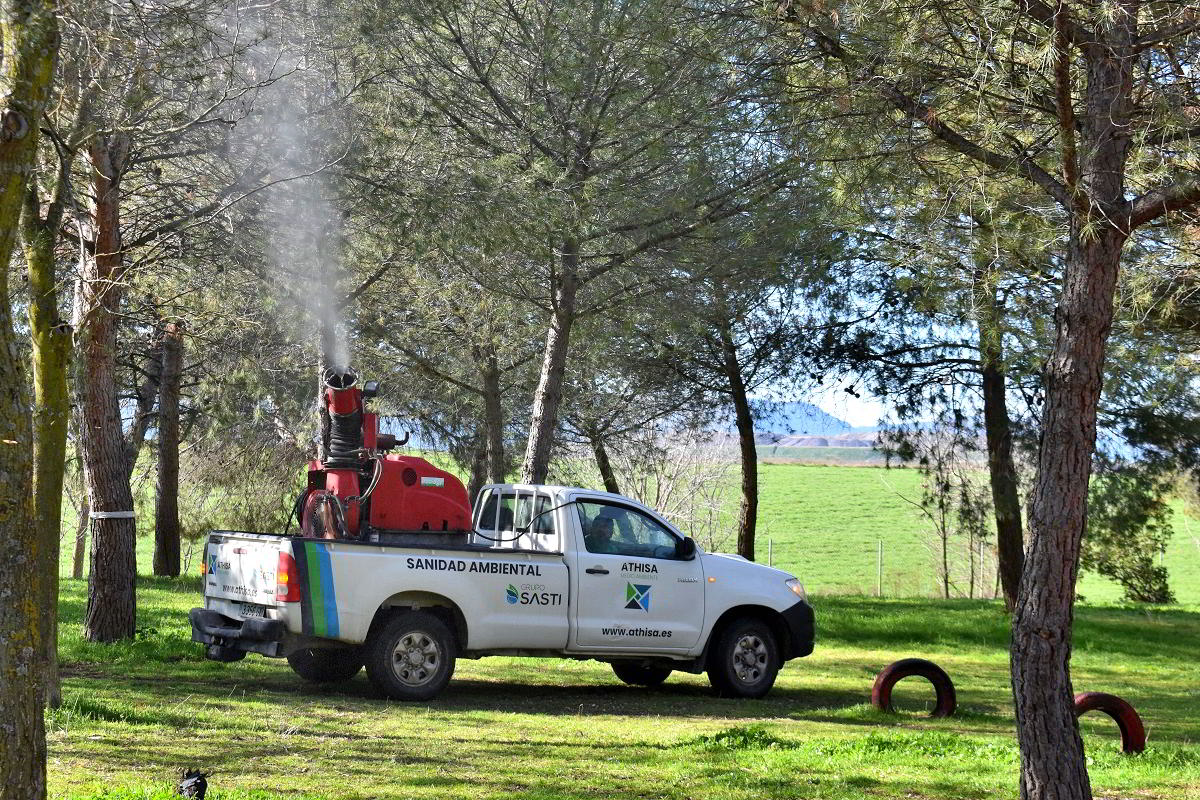 El plan de fumigación en zonas verdes logra reducir la infestación de bolsas de orugas en pinos 1