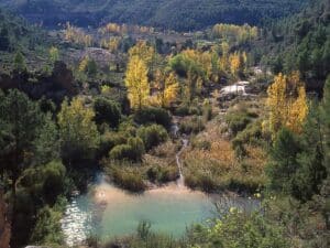 Albacete presenta la primera Feria de la Biodiversidad para impulsar la reserva de la Biosfera del Valle del Cabriel