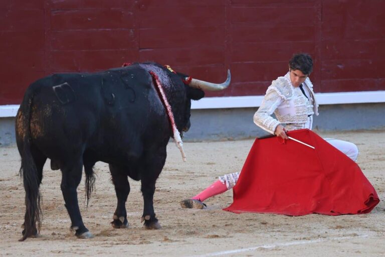 Albacete acogerá la II Semana Taurino-Cultural y las jornadas gastronómicas taurinas la primera semana de abril