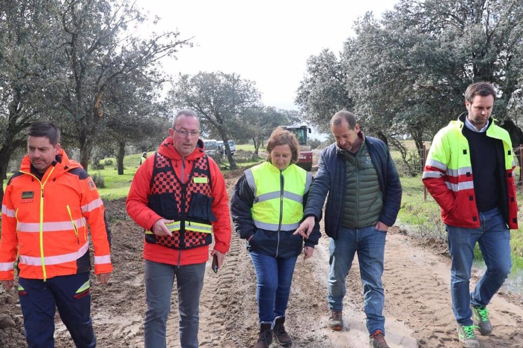 Un vial habilitado por la Diputación de Toledo garantiza la accesibilidad de una urbanización en Cardiel de los Montes