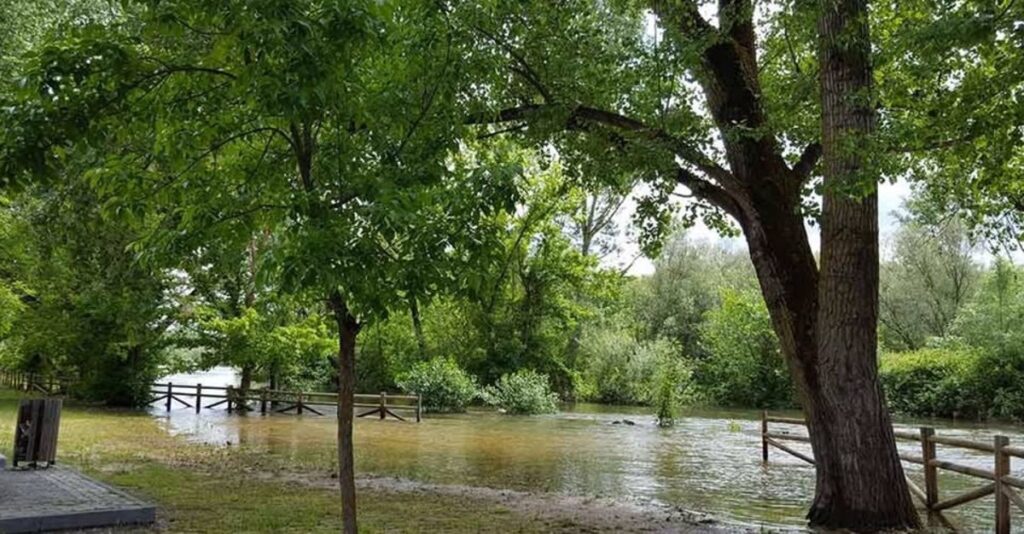 El Ayuntamiento de Escalona estima que la crecida del Alberche puede afectar a las viviendas más próximas a sus riberas