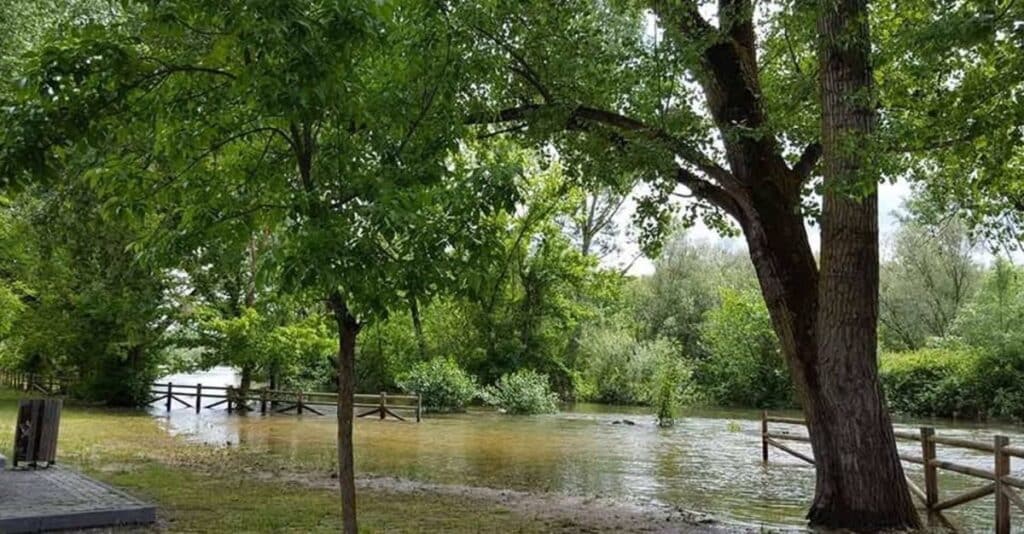 Envían el mensaje Es-Alert a seis municipios toledanos de la ribera del Alberche ante un posible aumento del caudal