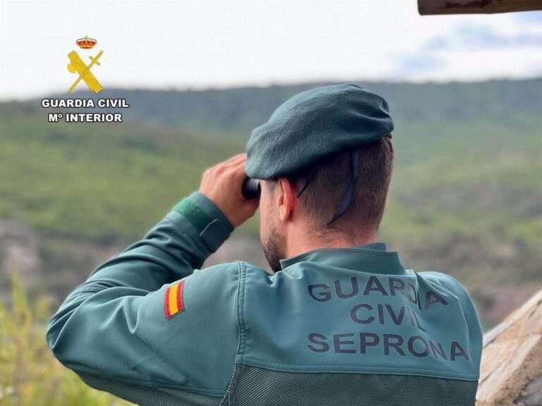 Guardia Civil detecta más de 30 infracciones en controles sanitarios sobre piezas de caza en Cuenca