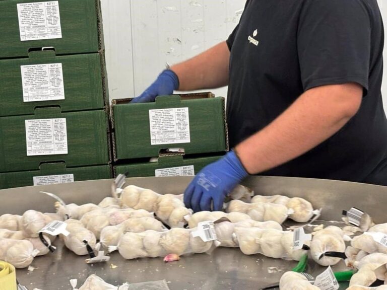 La Junta convoca ayudas por 3,8 millones de euros a las Agrupaciones de Productores de Productos Agroalimentarios