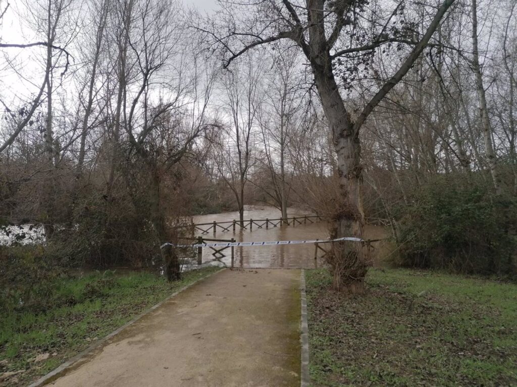 La crecida del río Henares a su paso por Guadalajara obliga a cerrar el acceso al parque fluvial