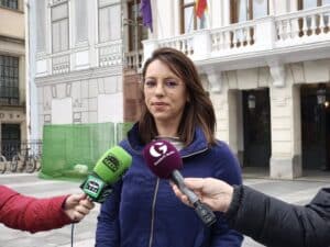 PSOE Guadalajara acusa al PP de "costar 10 millones" a los contribuyentes por privatizaciones de servicios municipales