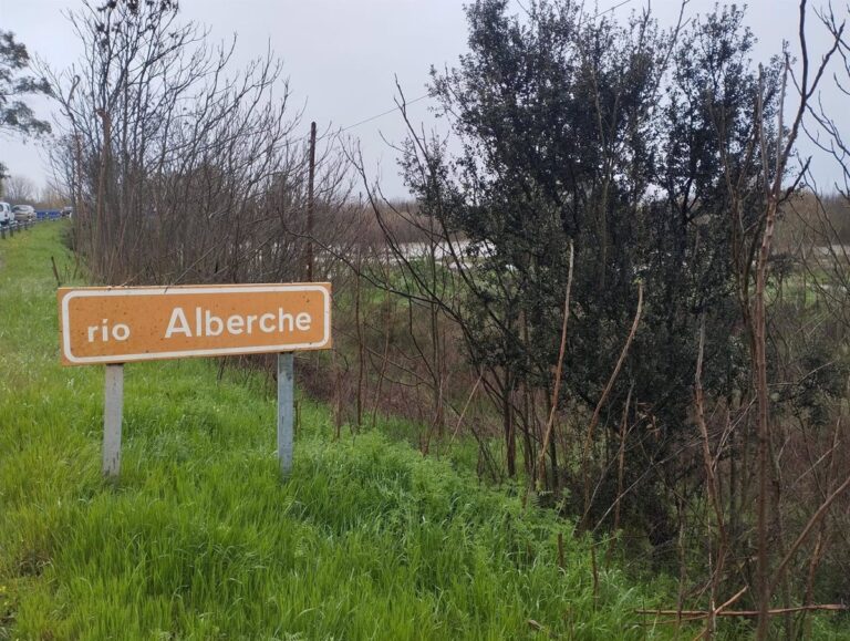 Refuerzo de la vigilancia en Talavera, Toledo y la ribera del Alberche ante el riesgo de crecidas