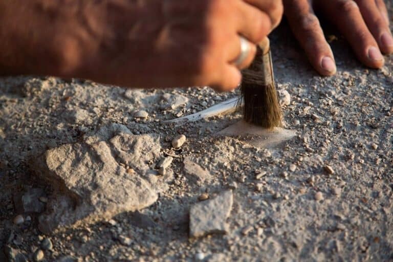 Las ayudas para proyectos de investigación del patrimonio arqueológico y paleontológico en C-LM se publicarán este lunes