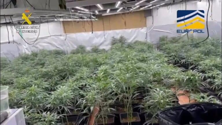 38 detenidos por el envío de droga por valor de 5,5 toneladas desde España a 11 países europeos