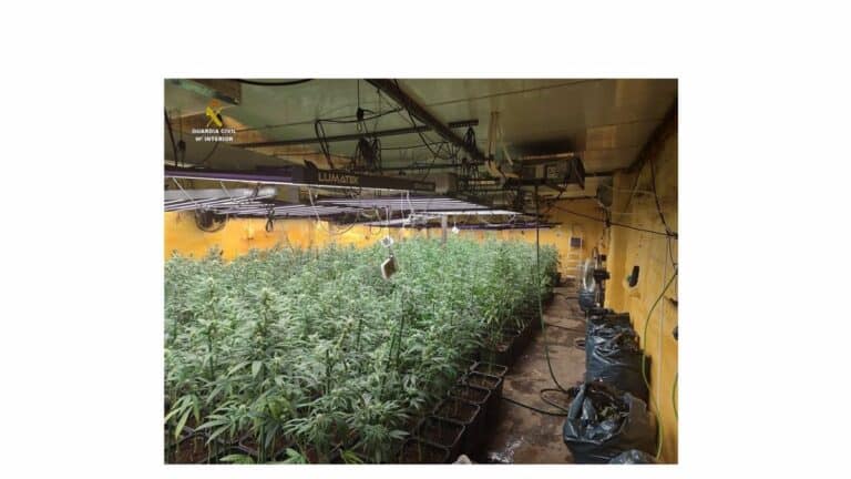 Dos detenidos tras la desarticulación de dos puntos de cultivo 'indoor' de marihuana en Ciudad Real y Madrid