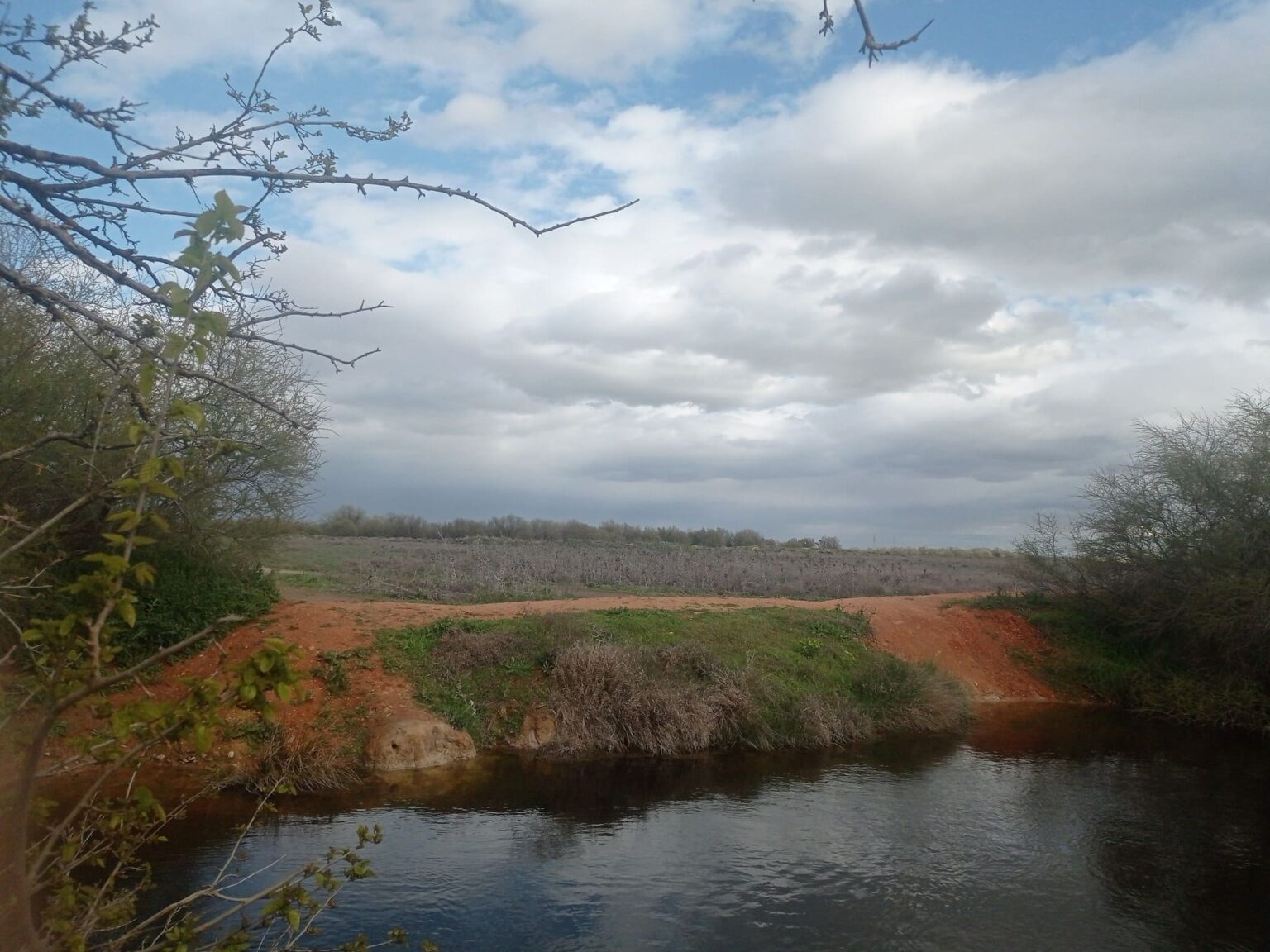 El río Cigüela resurge con fuerza en Herencia tras las lluvias: memoria, naturaleza y vida en la Mancha Húmeda 2