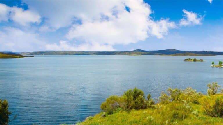 La Comisión del Trasvase Tajo-Segura autoriza 180 hm3 para los meses de abril, mayo y junio