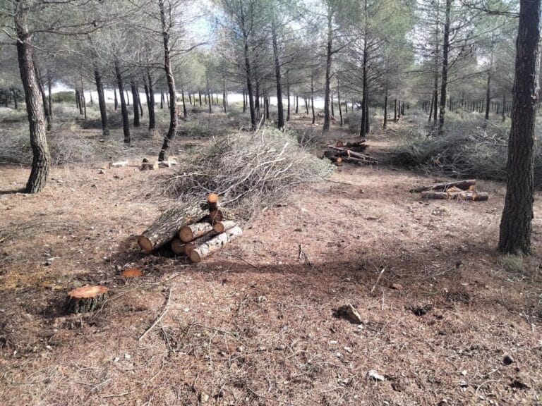 Las fundaciones Legado Bustillo y FIRE se unen para mejorar las reforestaciones del Campo de Montiel