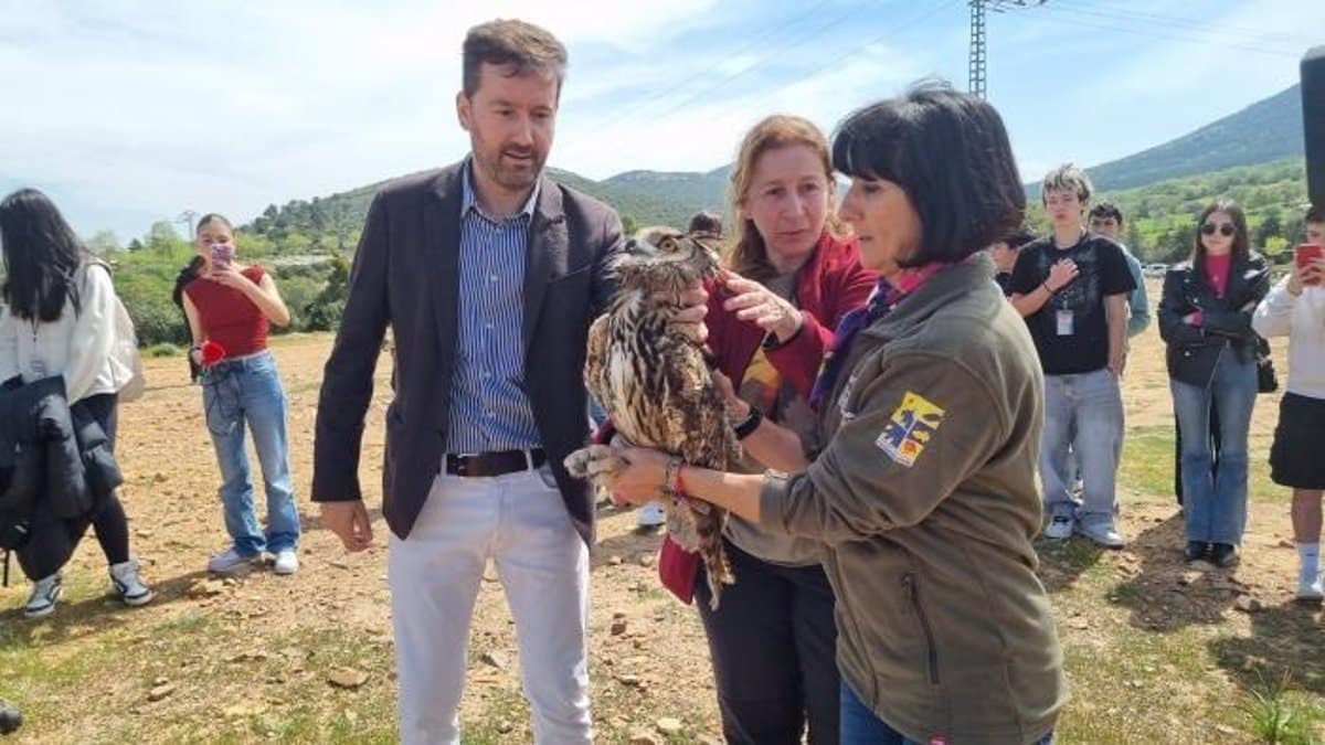 Liberan cinco ejemplares recuperados en el CERI de Sevilleja de la Jara (Toledo)