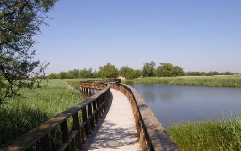 Regantes insisten en que "es el momento" de trasvasar 20 hm3 para encharcar Las Tablas de Daimiel