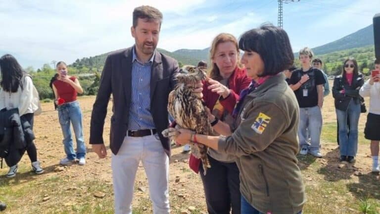 VÍDEO: Liberan cinco ejemplares recuperados en el CERI de Sevilleja de la Jara (Toledo)