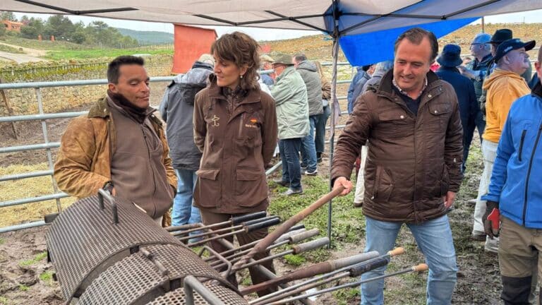 Vox reivindica su defensa a la ganadería brava exige a la Junta un plan de apoyo a todo el sector en C-LM