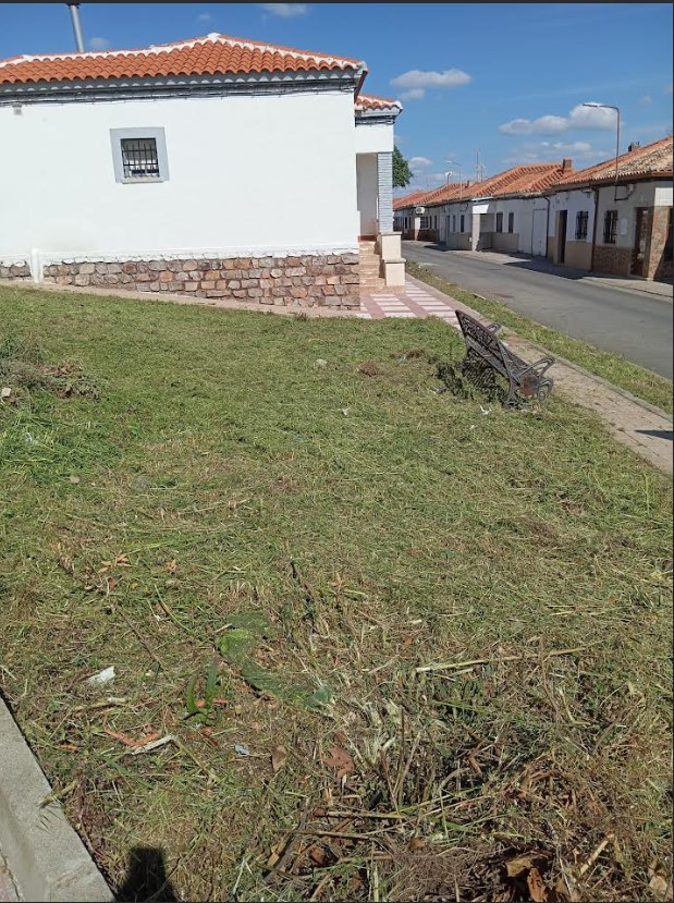Progresan Eficientemente los Trabajos de Limpieza Urbana y Periférica en la Ciudad 1 Progresan Eficientemente los Trabajos de Limpieza Urbana y Periférica en la Ciudad 1