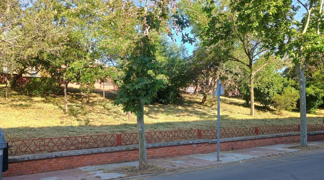 Progresan Eficientemente los Trabajos de Limpieza Urbana y Periférica en la Ciudad 2 Progresan Eficientemente los Trabajos de Limpieza Urbana y Periférica en la Ciudad 2