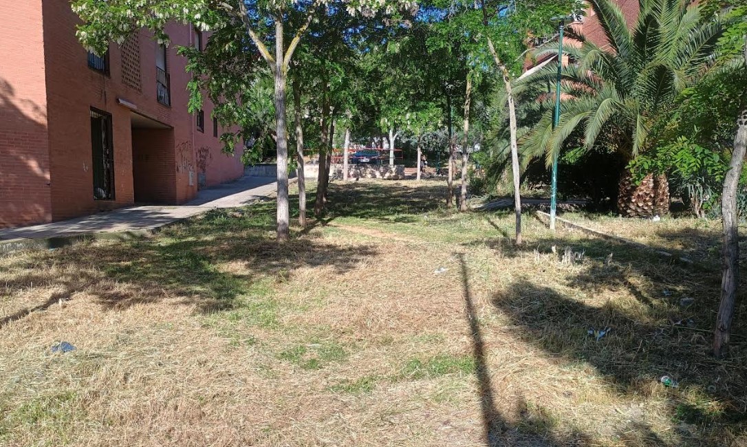 Progresan Eficientemente los Trabajos de Limpieza Urbana y Periférica en la Ciudad 3 Progresan Eficientemente los Trabajos de Limpieza Urbana y Periférica en la Ciudad 3