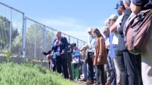 Agrosemillas estrena instalaciones para liderar desde El Peral la creación de cubiertas vegetales para cultivos leñosos