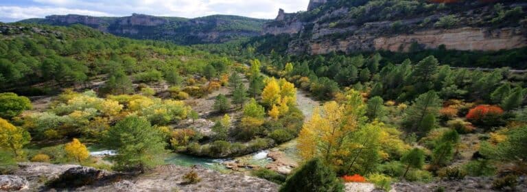 C-LM se dota de un Plan de Inspección Medioambiental, que entrará en vigor en 20 días