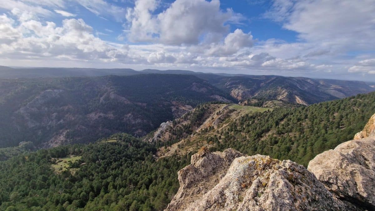 C-LM se suma a la celebración del Día Europeo de los Parques Naturales con un amplio programa de actividades