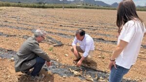 David Moreno (Vox) reclama ayudas urgentes para los agricultures afectados por el granizo y la plaga de conejos