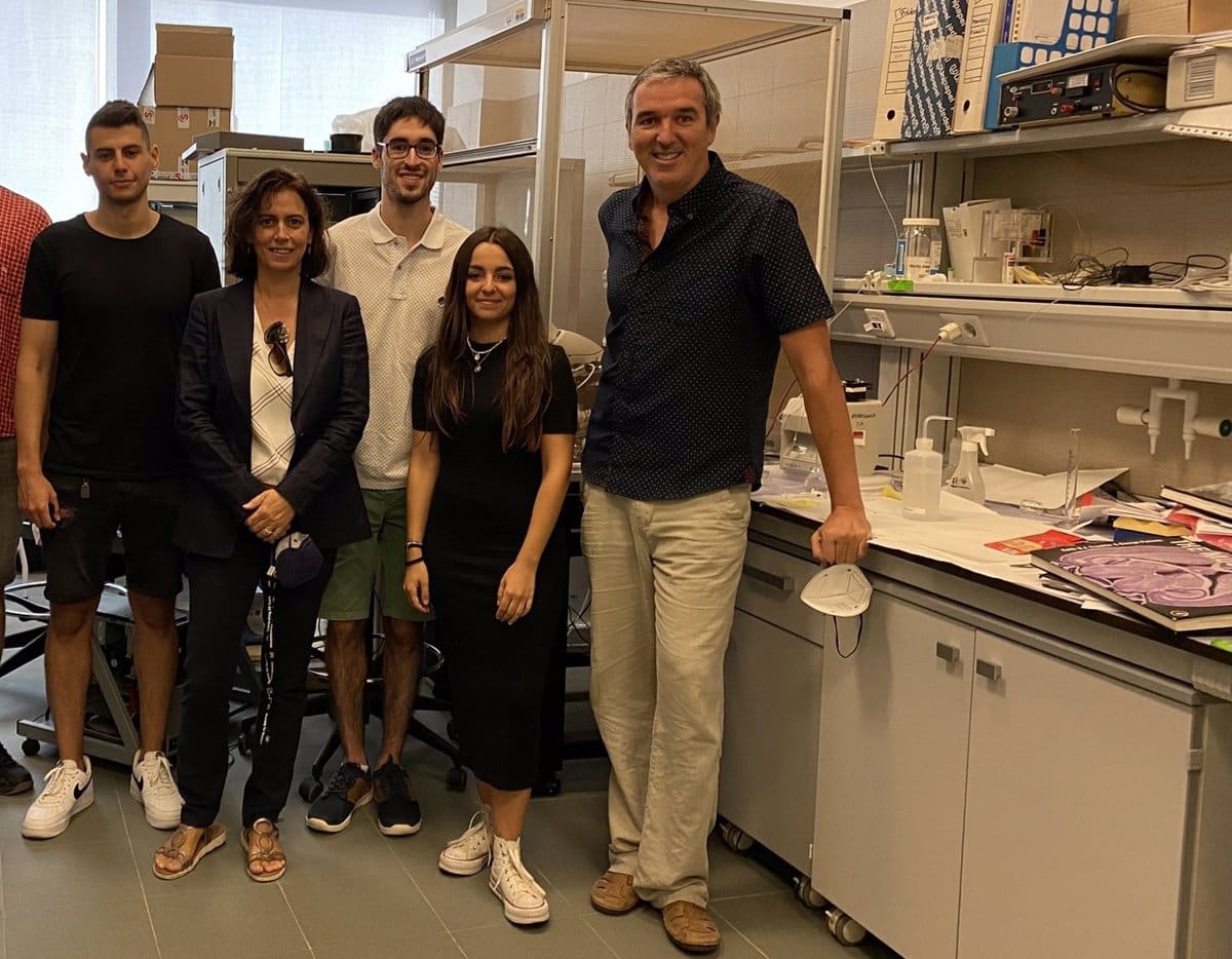 Investigadores de la UCLM identifican un mecanismo para revertir déficits de memoria en fases tempranas de Alzheimer