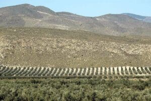Junta lanza la convocatoria anticipada de pagos compensatorios por zonas de montaña en C-LM con 5,3 millones de euros