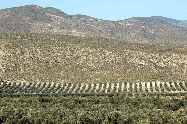 Junta lanza la convocatoria anticipada de pagos compensatorios por zonas de montaña en C-LM con 5,3 millones de euros