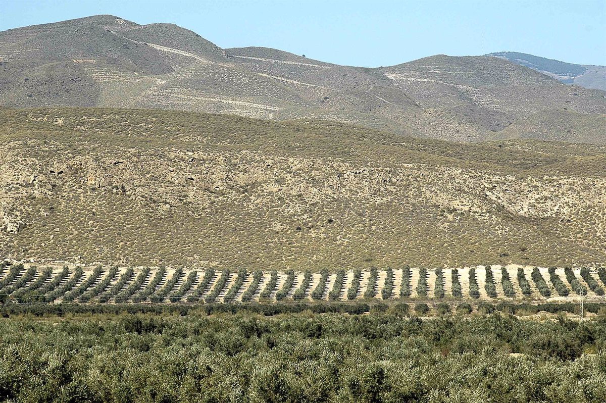 Junta lanza la convocatoria anticipada de pagos compensatorios por zonas de montaña en C-LM con 5,3 millones de euros