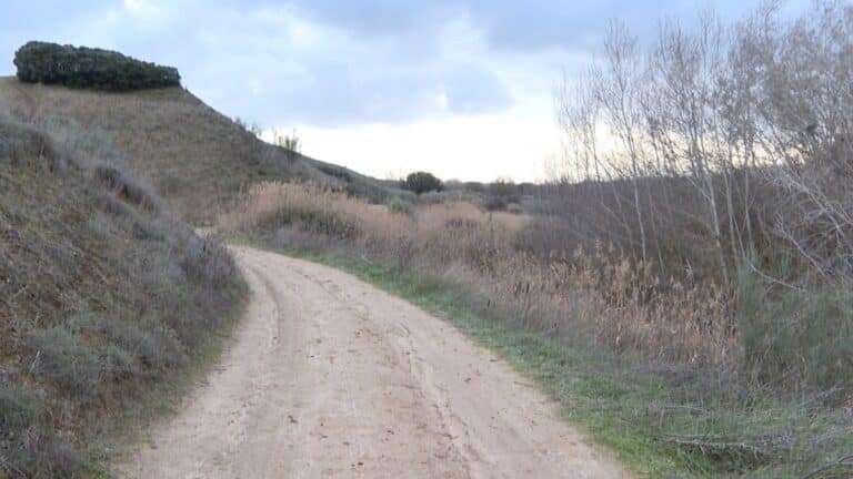 La Policía Nacional aún no ha reanudado la búsqueda de Heidy Paz, según la delegada del Gobierno en C-LM
