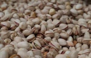 La patronal y los productores de pistacho pondrán en marcha la Lonja del Pistacho de C-LM en julio