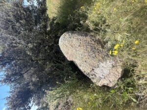 Técnicos de Patrimonio de la Junta y del Seprona evaluarán este viernes 'in situ' lo ocurrido con el menhir de Gamonal