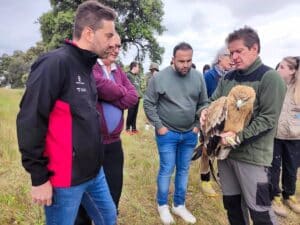 Vuelve a su hábitat natural un águila imperial tras ser tratada el CERI de Sevilleja de la Jara (Toledo)