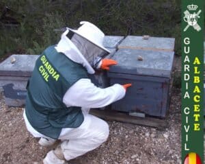 Dos detenidos por robar 53 colmenas en Almansa para cobrar ayudas