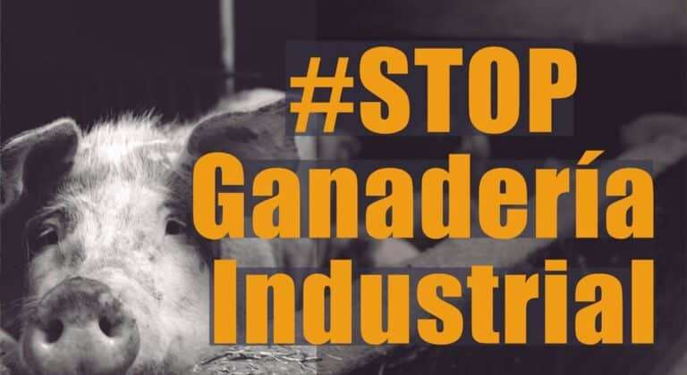 Ecologistas acusa a Junta de acallar las protestas contra macrogranjas y discrepan de los datos de Desarrollo Sostenible