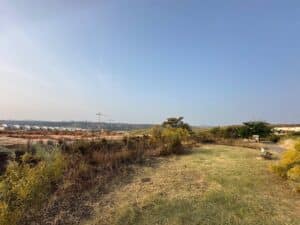 Ayuntamiento precisa que hay zonas de Toledo donde se están desbrozando por duplicado y defiende agilidad en el proceso