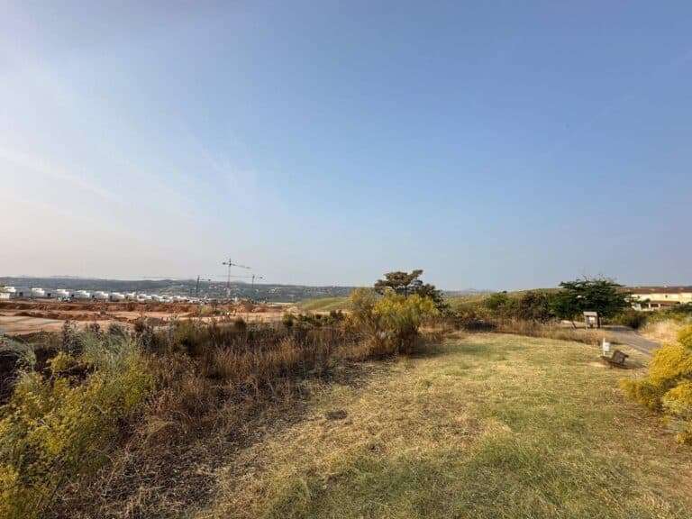 Ayuntamiento precisa que hay zonas de Toledo donde se están desbrozando por duplicado y defiende agilidad en el proceso