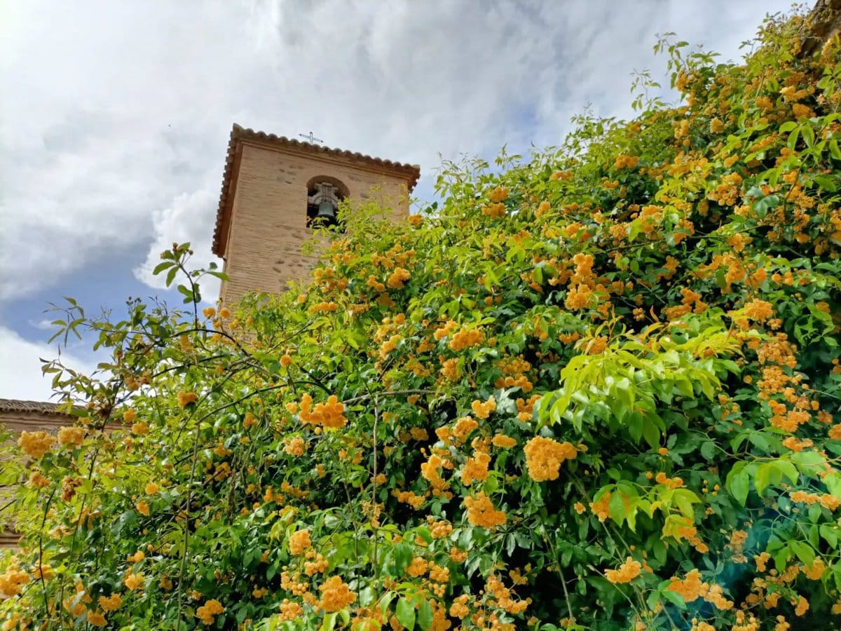 El Certamen de Patios del Corpus de Toledo incluirá este año tres jardines como novedad y amplía espacios hasta los 43