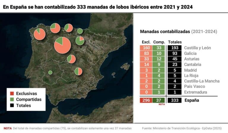 El censo del lobo cifra en 333 las manadas en España, 12% más que en 2014, pero sin alcanzar las 500 para su viabilidad
