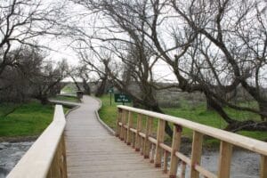 El plan de recuperación de las Tablas de Daimiel se someterá próximamente a diagnóstico público para su puesta en marcha
